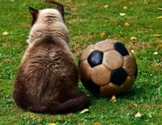 浓眉哥关键节点突破纪录，切尔西带队取胜！